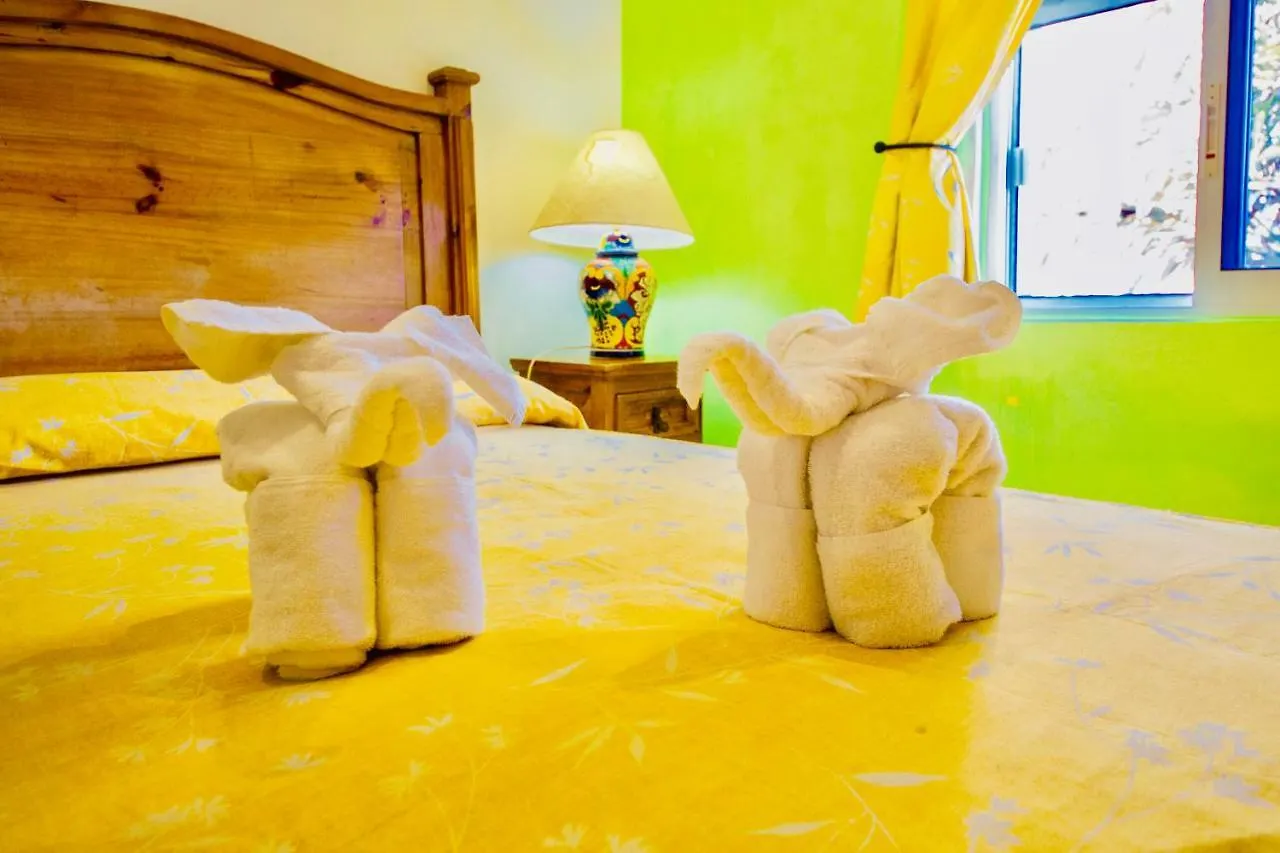Deluxe Family Room E7 Dolce Vita Caribe B&B Playa del Carmen 0*,  Mexico